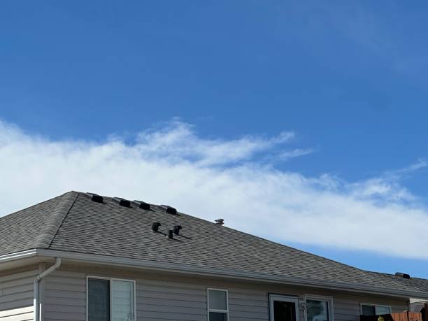 Best Steel Roofing  in Elgin, MN